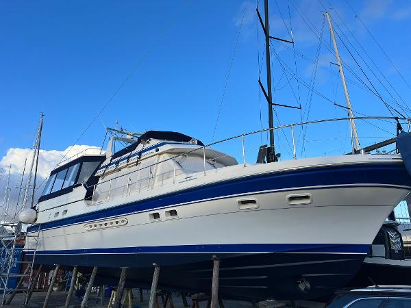 Trader Signature 535