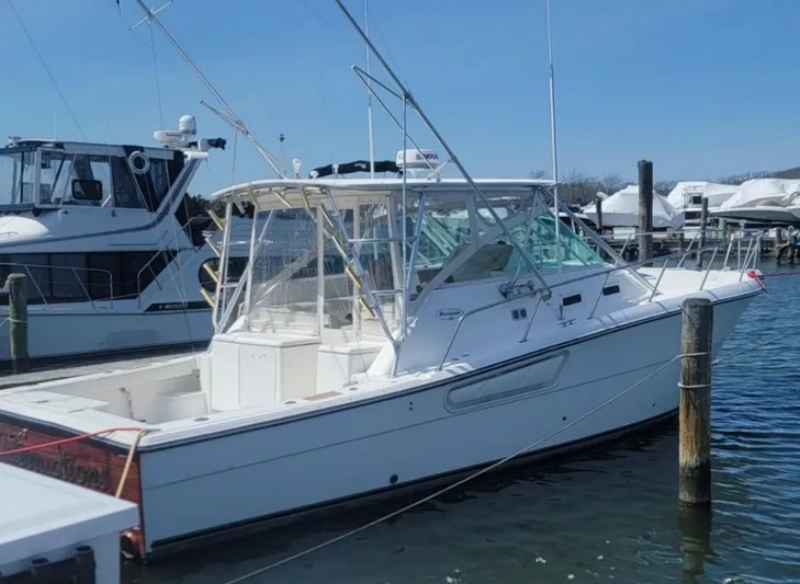 No Interruptions Yacht Photos Pics 2000 Rampage 38 Express boat docked in marina, clear sky, calm water.