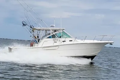 Rampage 38 Express