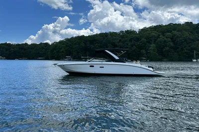 Sea Ray SDX 290