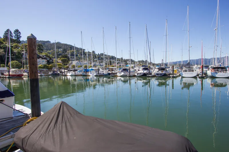 Eclipse Yacht Photos Pics Marina with sailboats and a covered Sea Ray 480 Sedan Bridge, 1998 model, in a serene setting.