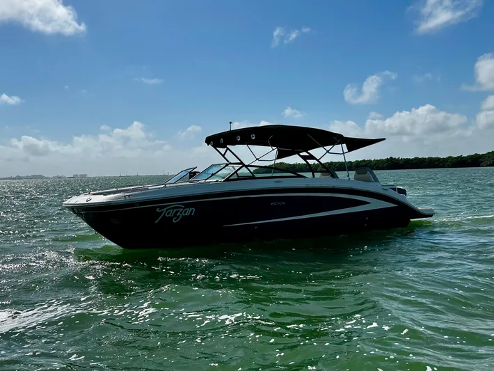 2016 Sea Ray 290 Sundeck @ Cancun Yacht Photos Pics 
