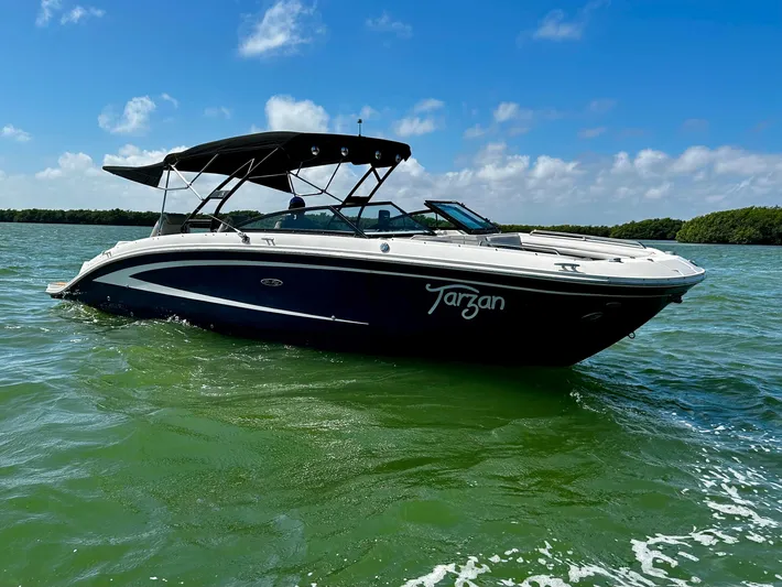 2016 Sea Ray 290 Sundeck @ Cancun Yacht Photos Pics 