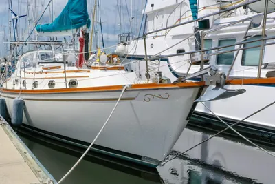 Shannon 43