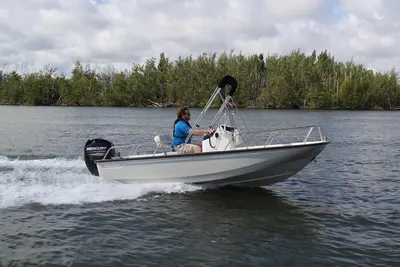 2025 Boston Whaler 150 Montauk