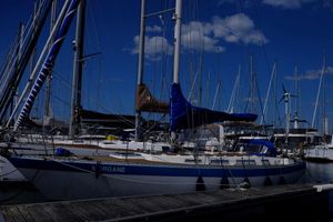 1981 Wauquiez Hood 38