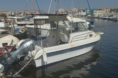 2001 Felco delfin 595