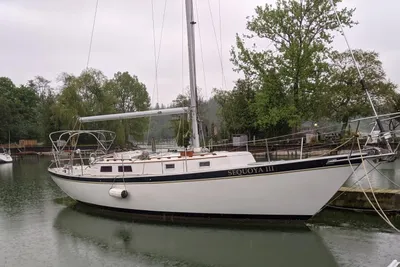 Hinterhoeller Niagara 35 Encore