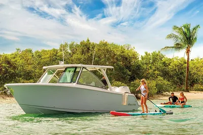 Sailfish 316 DC