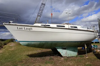 1989 Colvic Countess