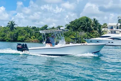 Dusky 23'3