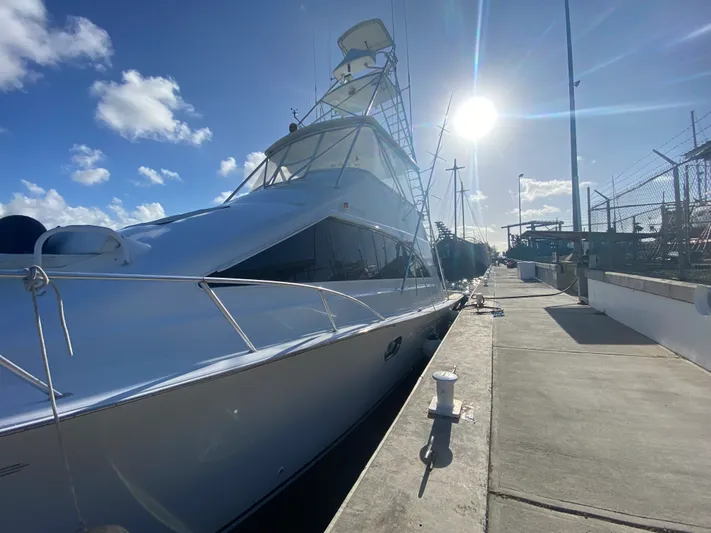 Banjo Yacht Photos Pics 