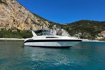1990 Sea Ray 290 Sundancer