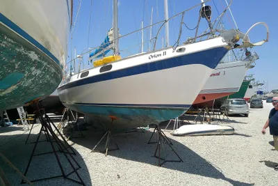 Morgan Out Island 41