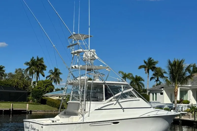  Yacht Photos Pics 1999 Ocean Yachts 40 Open boat docked, surrounded by palm trees and clear blue sky.