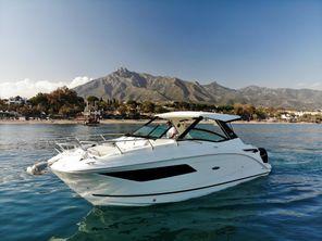 Sea Ray 320 Sundancer OB