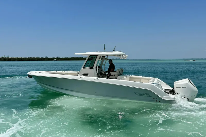 Take It Easy Yacht Photos Pics 