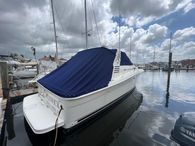 2001 Sea Ray 340 Amberjack
