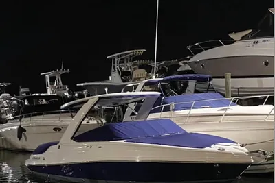 Rinker 29QX BR