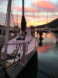 Islander Mast Head Sloop