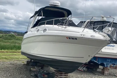 Sea Ray 260