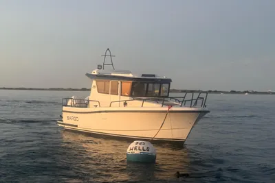 Sargo 28