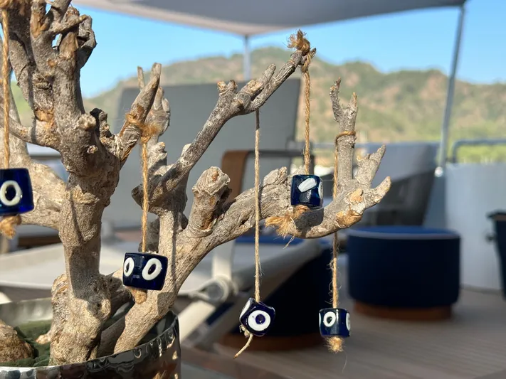 Friendship Yacht Photos Pics 