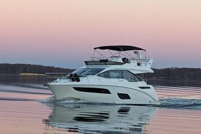 Sea Ray Fly 460