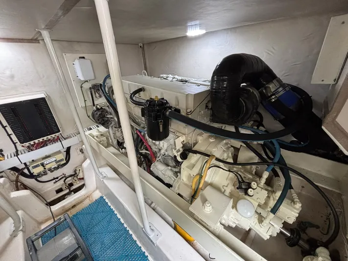 Paleta Yacht Photos Pics 