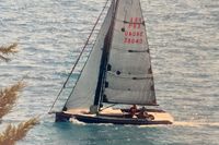 2011 Black Pepper Code 0