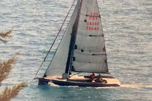 2011 Black Pepper Code 0