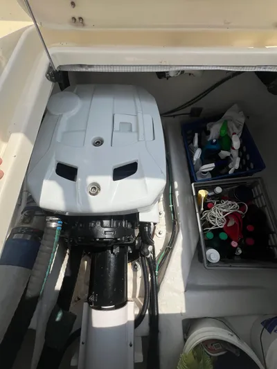 Balance Yacht Photos Pics 