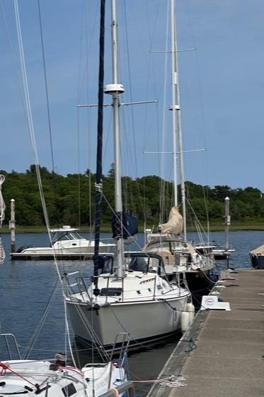 Sailboats docked at a marina, featuring a 1986 Pearson 33-2 model.
