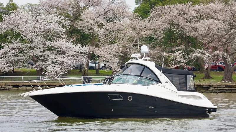  Yacht Photos Pics 2011 Sea Ray 350 Sundancer yacht cruising near blooming cherry blossom trees.