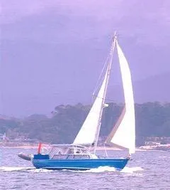 CAL 2-46