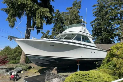 Bertram 355