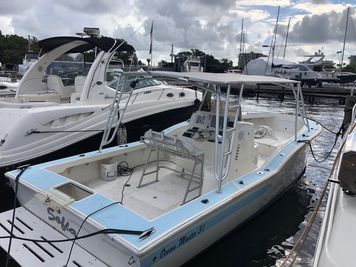 Ocean Master 31 Ocean Master