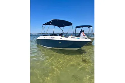 Bayliner Element E18