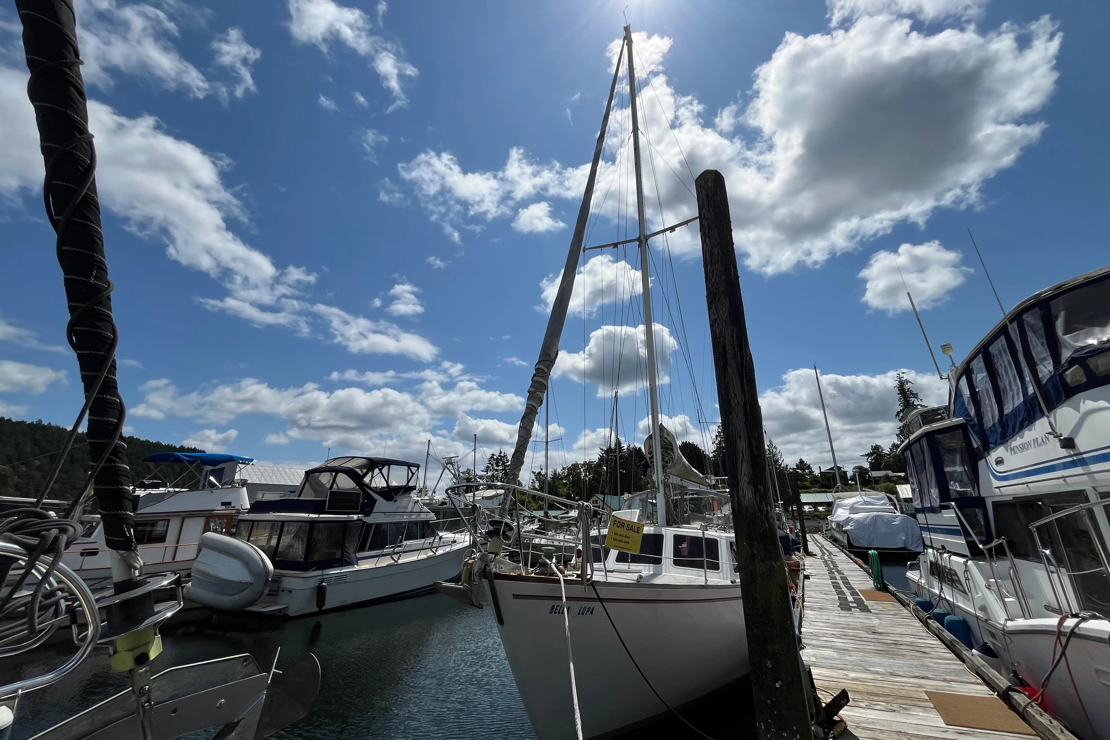 Sailboats docked at a marina under a bright blue sky with fluffy clouds.