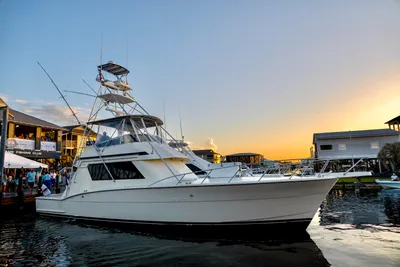 Hatteras Convertible
