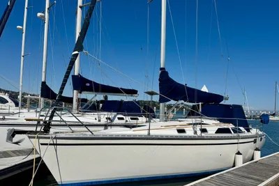 Hunter Legend 35.5