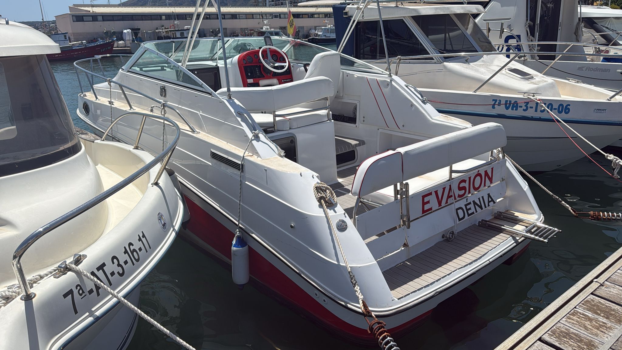 1993 Celebrity 245 sport cruis