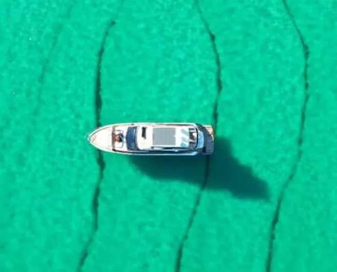 Blind Date Yacht Photos Pics 