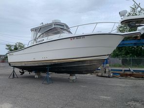 2002 Shamrock 290 Walkaround
