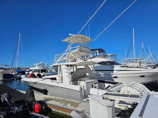J Money Yacht Photos Pics 