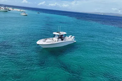 Pronautica 29 Center Console