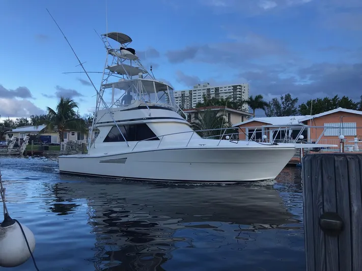 Pigal Yacht Photos Pics 