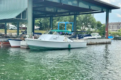Bertram 31 Bahia Mar