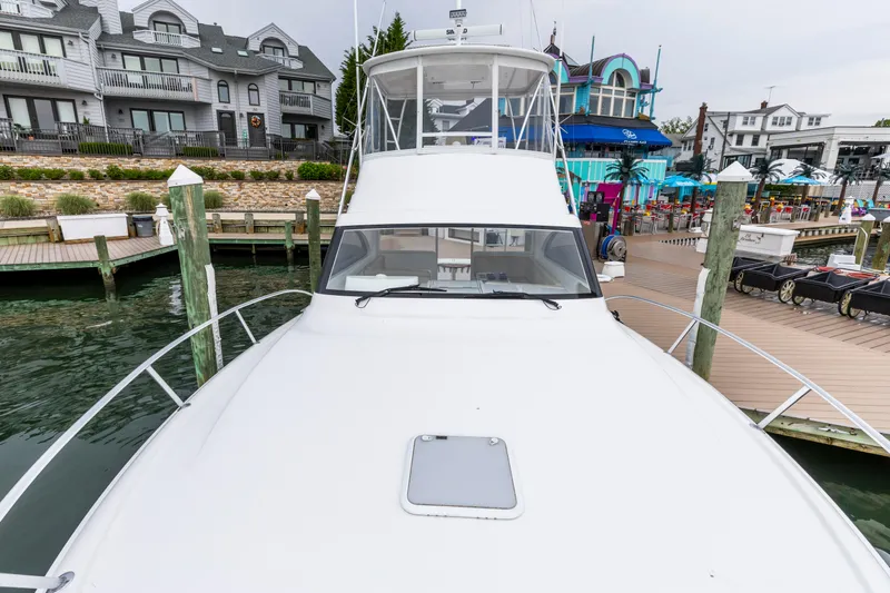 Sun Of A Fish Yacht Photos Pics 