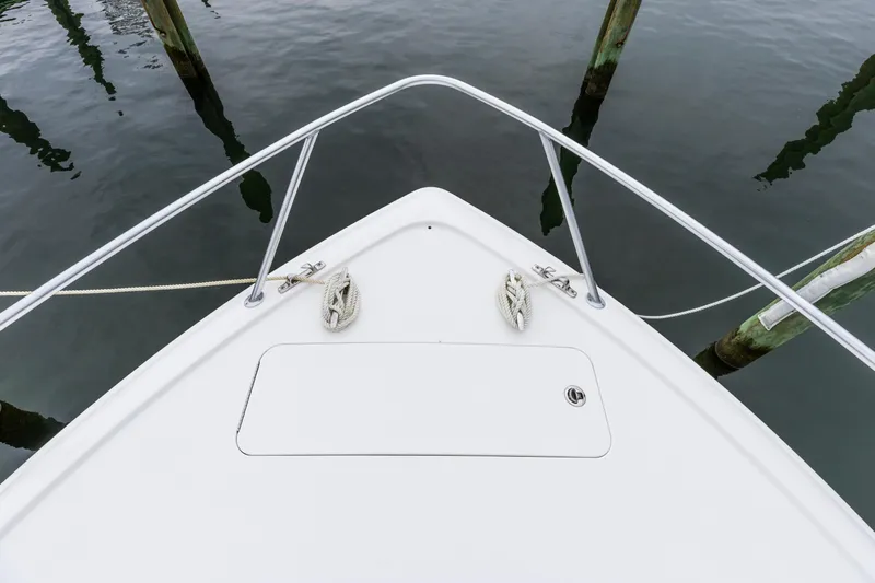 Sun Of A Fish Yacht Photos Pics 